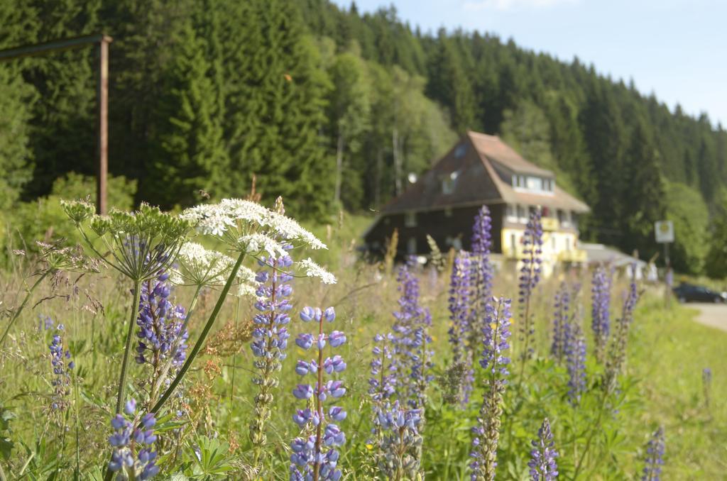 Gasthaus Hotel Loeffelschmiede Feldberg  Ngoại thất bức ảnh