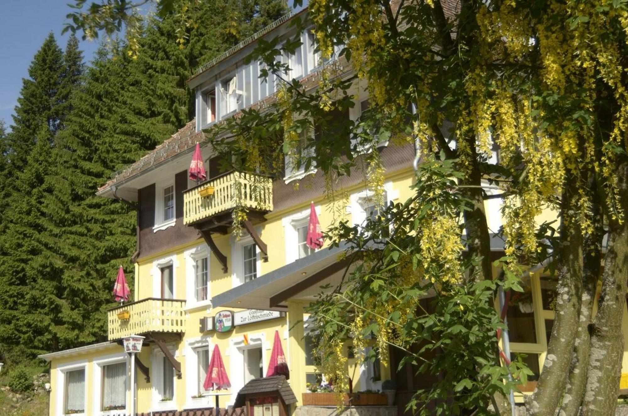 Gasthaus Hotel Loeffelschmiede Feldberg  Ngoại thất bức ảnh